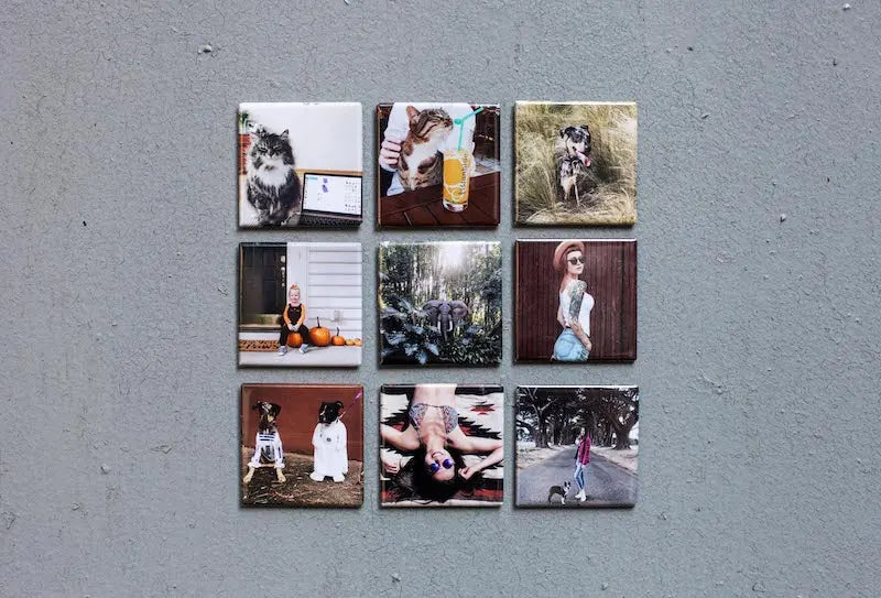 Magnetize Your Memories - Love That Sticks Forever