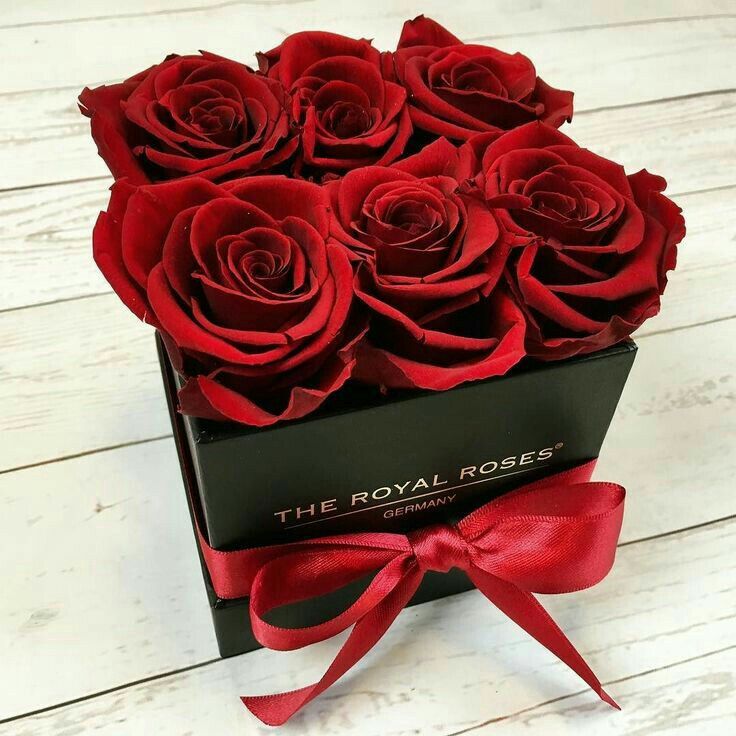 Red Roses Heart